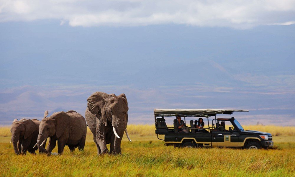 Amboseli Elephant Watch Safari