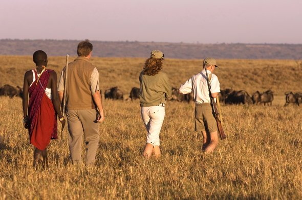 Discover Kenya Safari