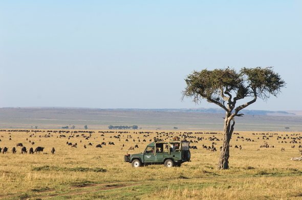 Discover Kenya Safari