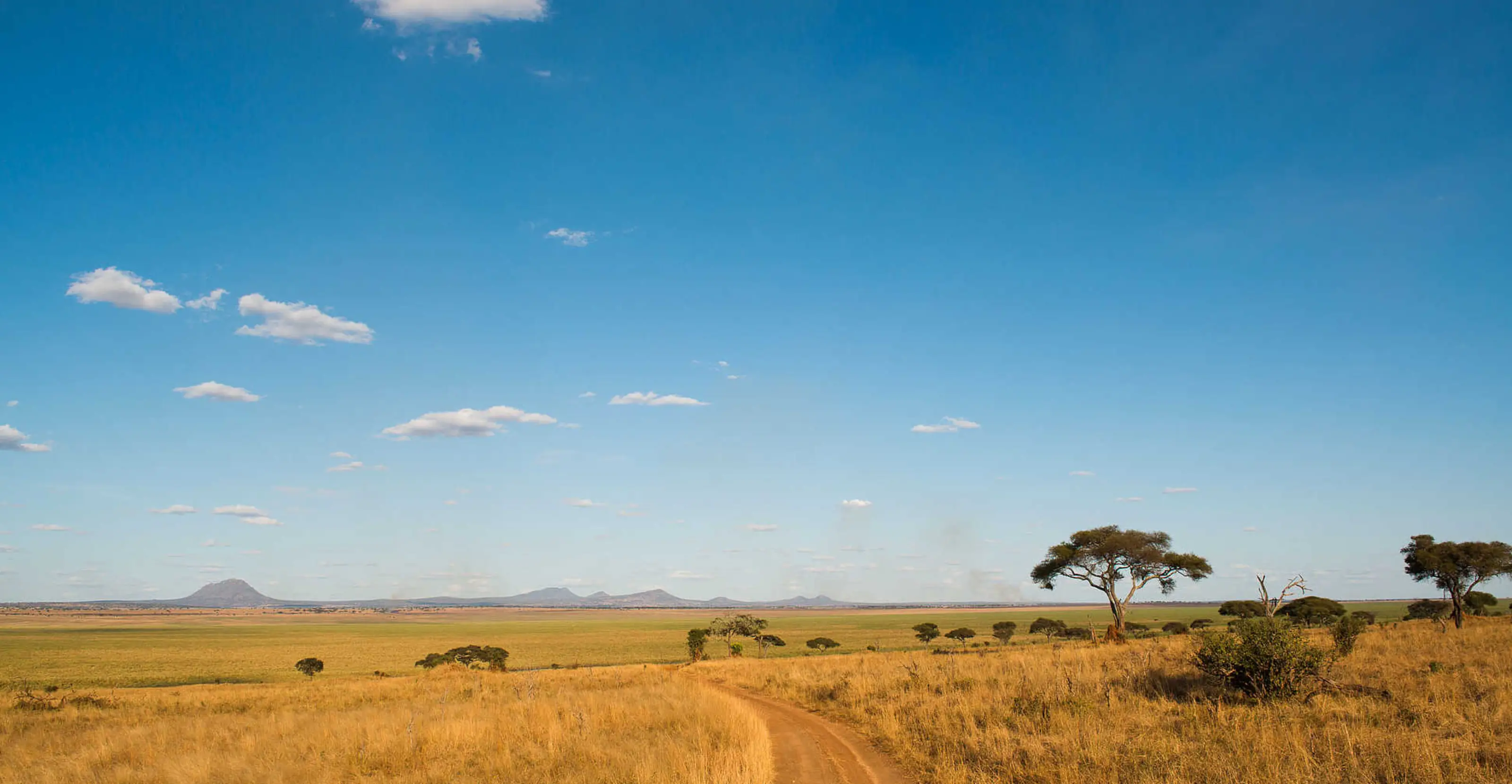 10 Days Elewana Tanzania Premium Safari