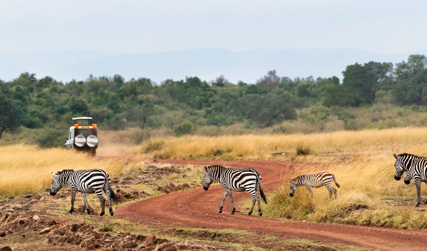 10 Days Kenya Family Safari & Beach Adventure 