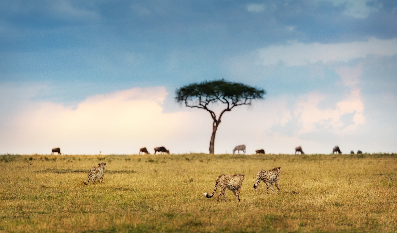 10 Days Kenya Family Safari & Beach Adventure 