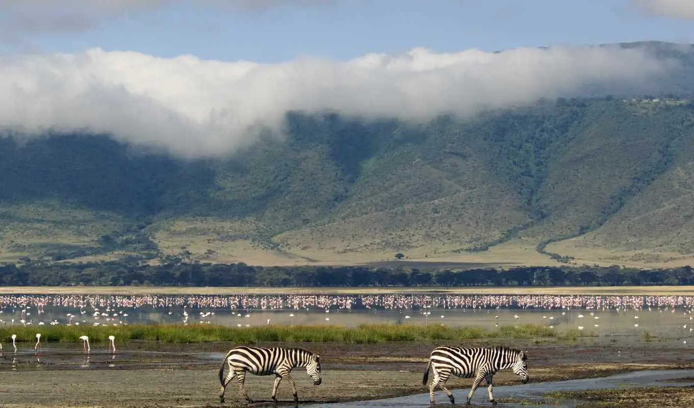 10 Days Tanzania And Kenya Safari Game Drive