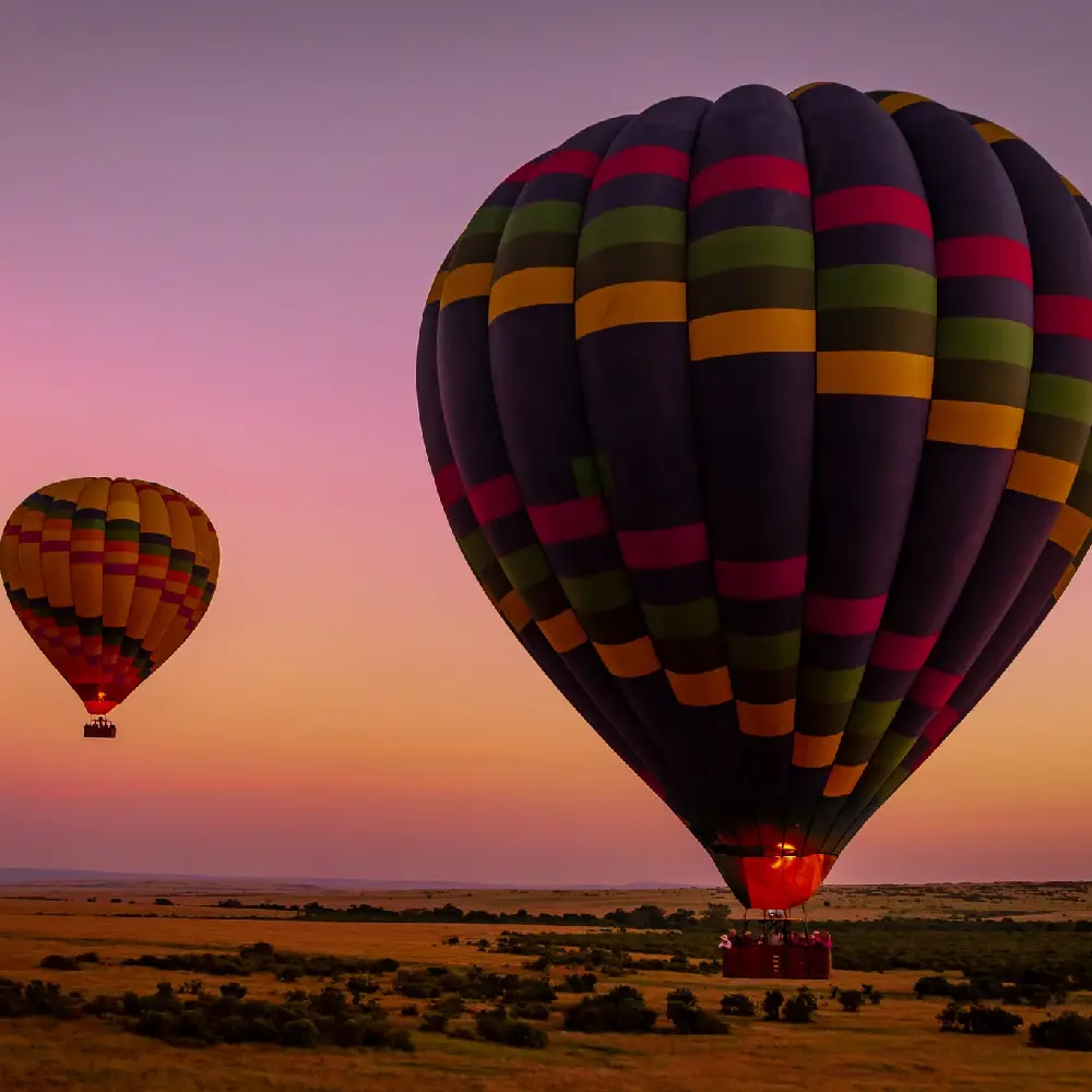 10 Days Tanzania And Kenya Safari Attraction