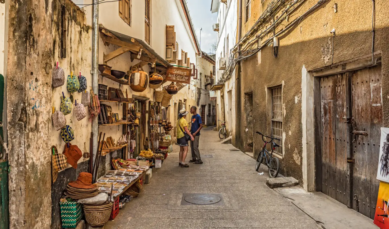 10 Days Tanzania Safari and Beach Adventure City Tour