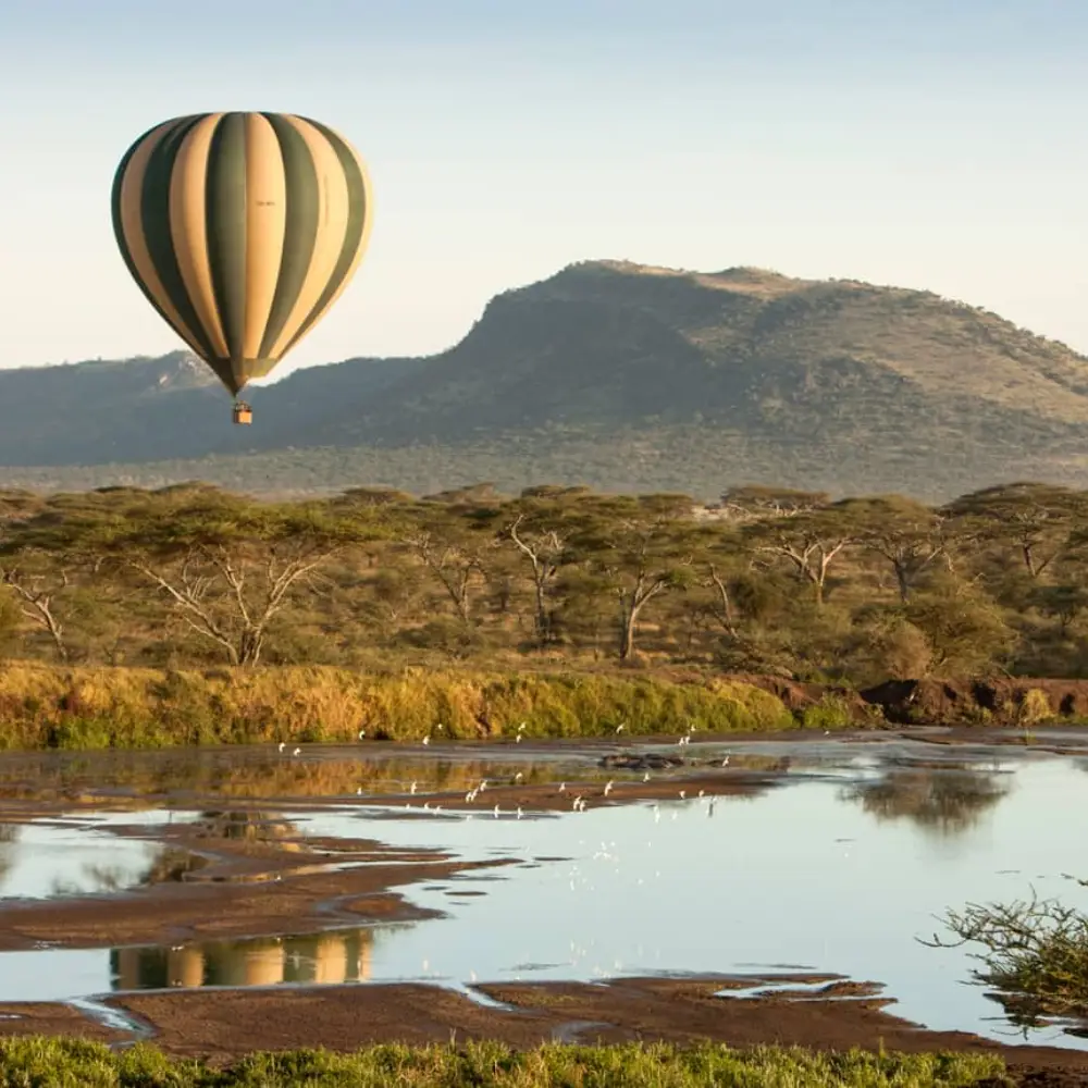 10 Days Tanzania Safari and Beach Adventure Attraction