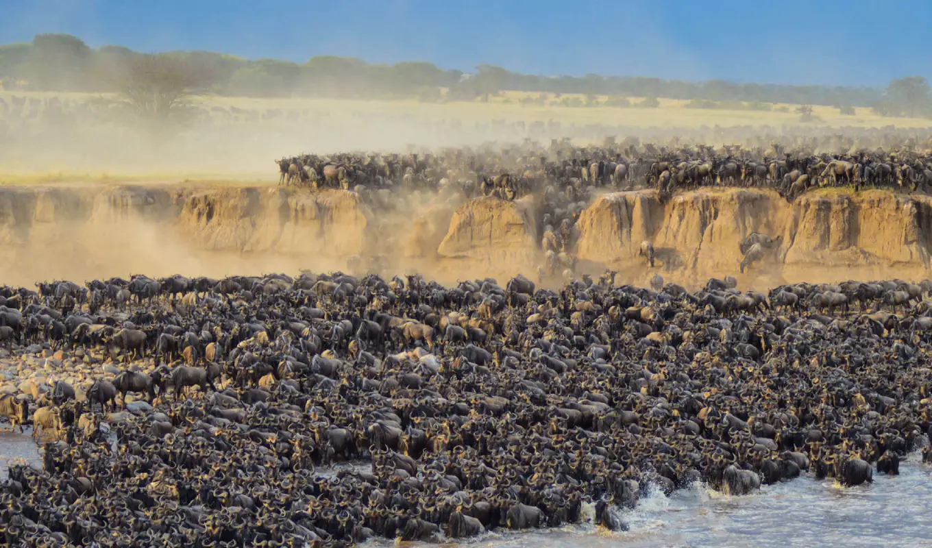 10 Days Tanzania Safari and Beach Adventure Great Migration