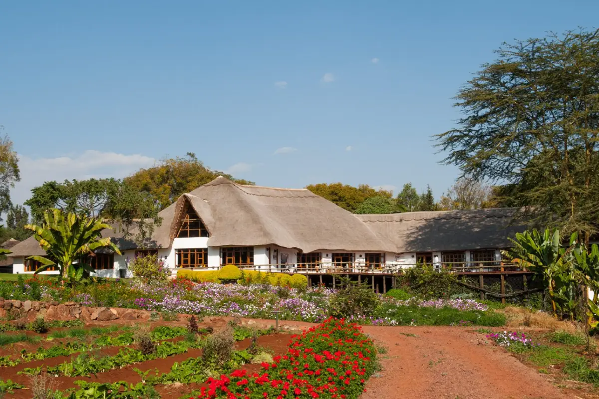 11 Days Safari & Zanzibar Escape Lodge