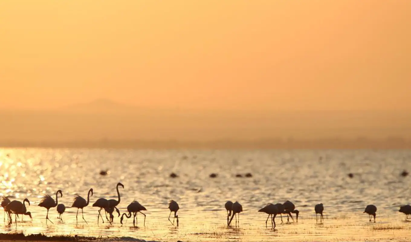 11 Days Safari & Zanzibar Escape Lake Manyara