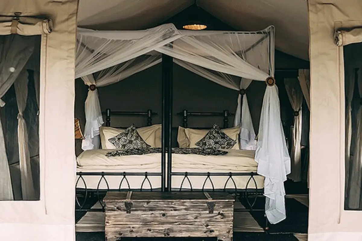 11 Days Safari & Zanzibar Escape Lodge