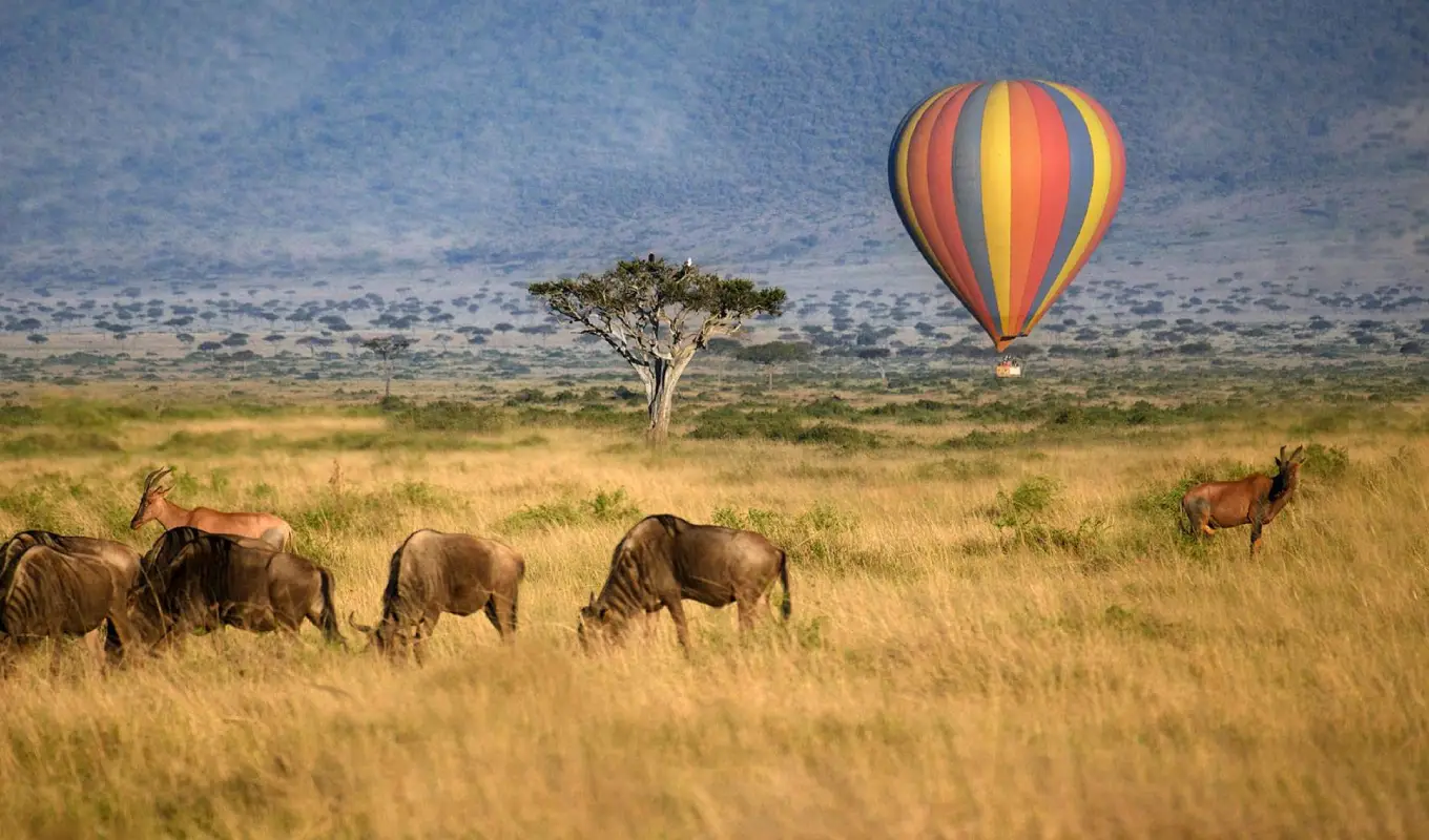 11 Days Safari & Zanzibar Escape Hot air balloon safari