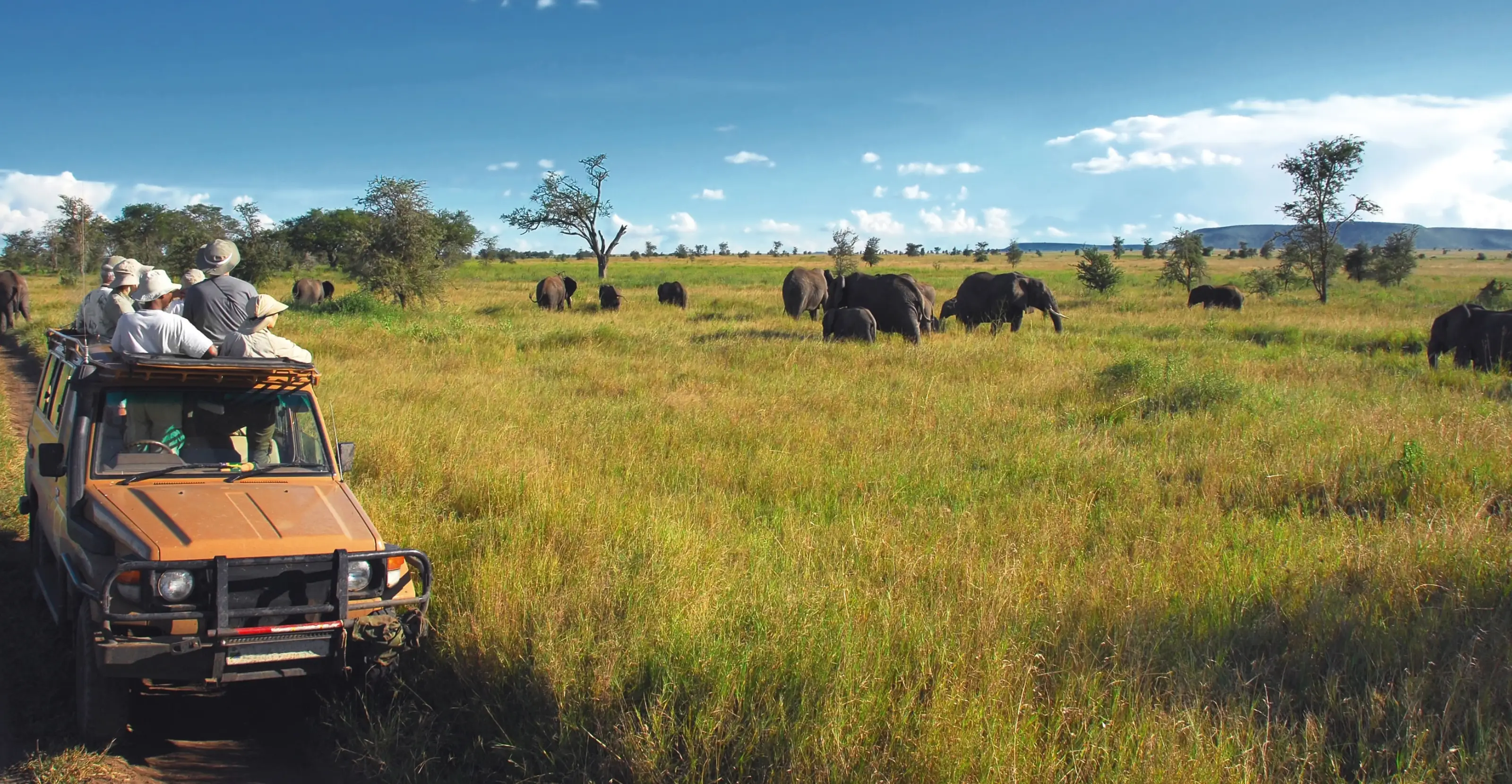 11 Days Safari & Zanzibar Escape