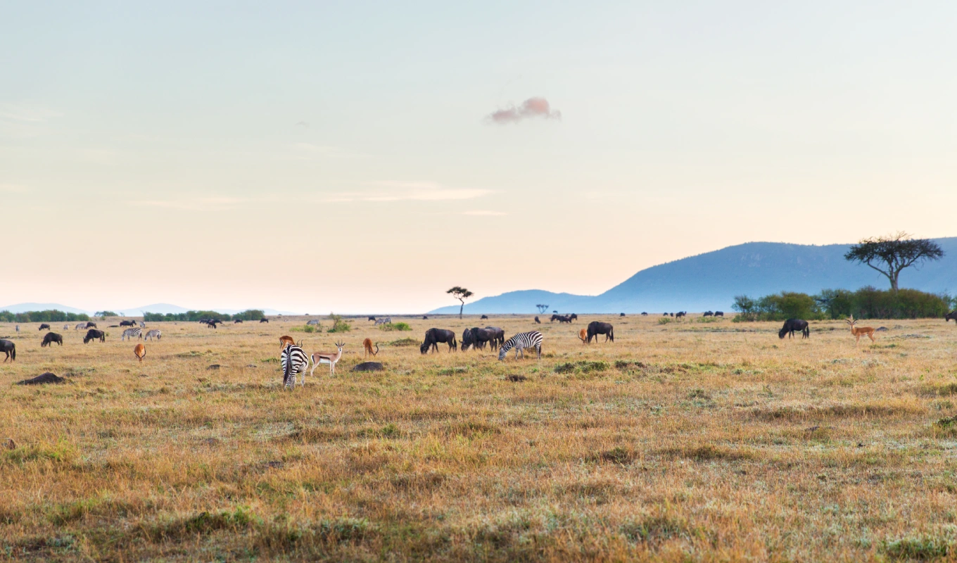 Samburu National Reserve