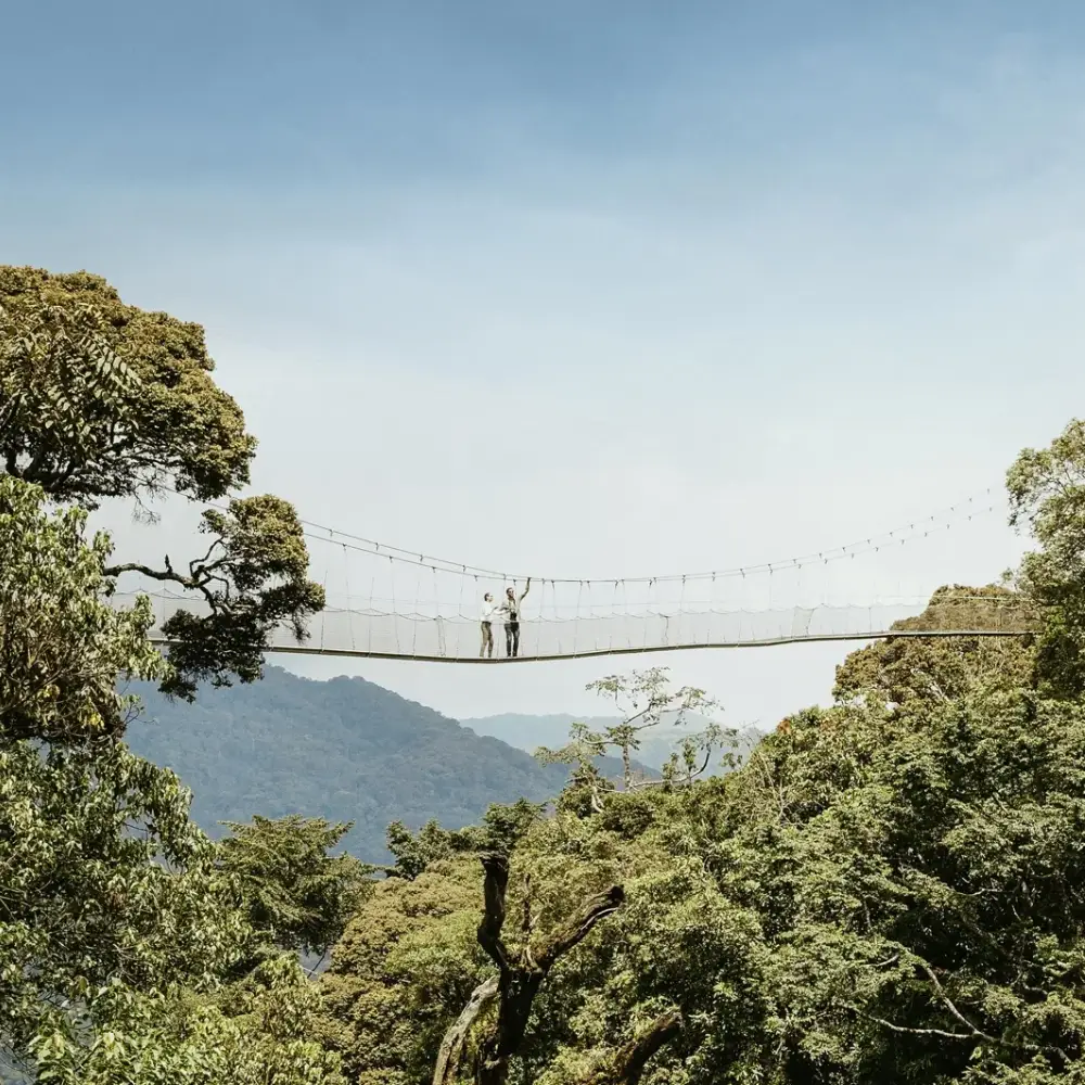 12 Days Rwanda & Kenya: Gorillas and  Wildlife  Safari Attractions