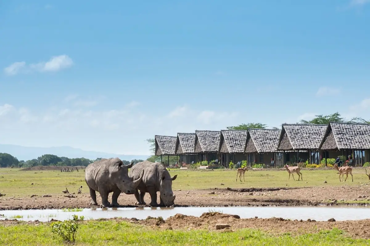 12 Days Rwanda & Kenya: Gorillas and  Wildlife  Safari