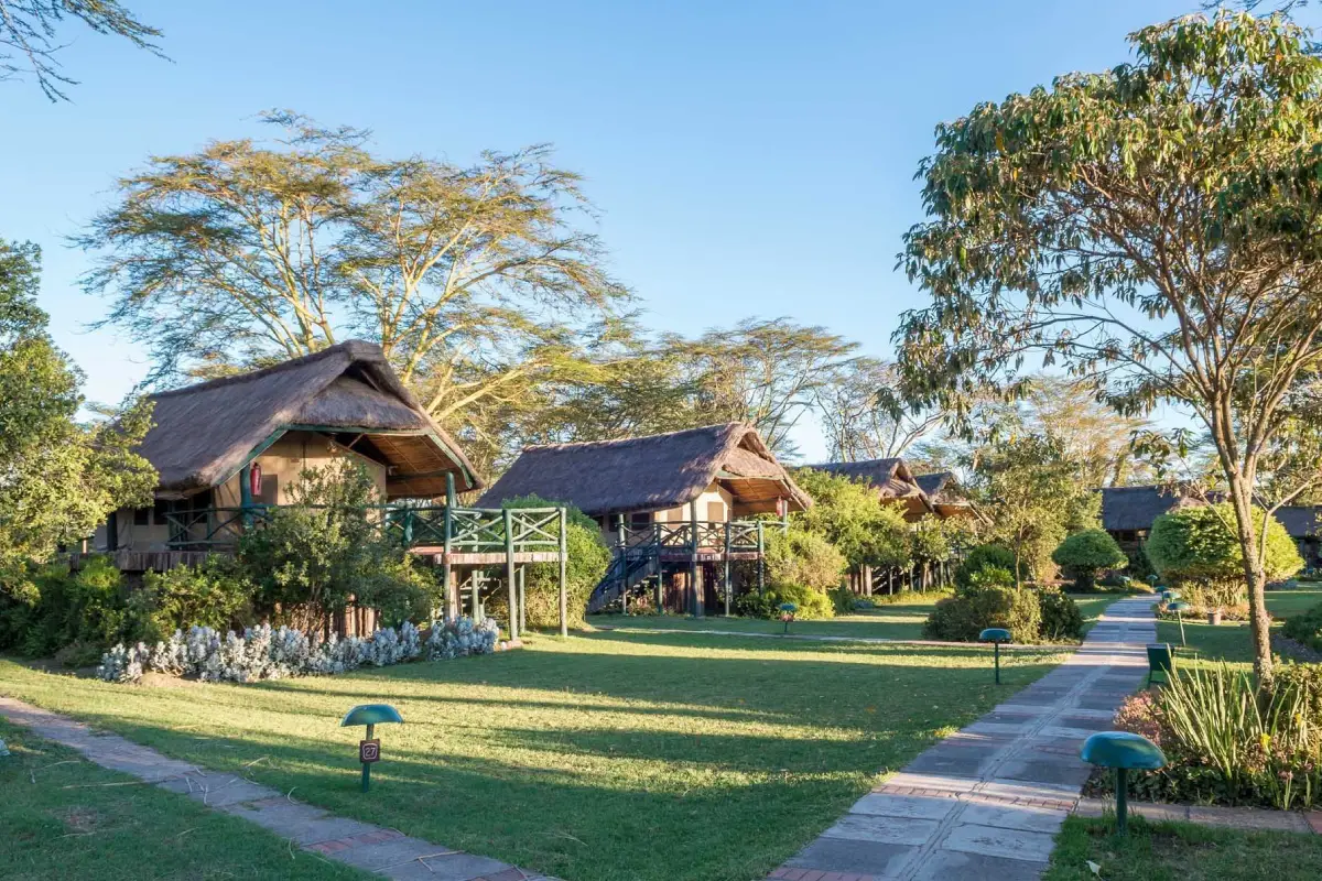 12 Days Rwanda & Kenya: Gorillas and  Wildlife  Safari