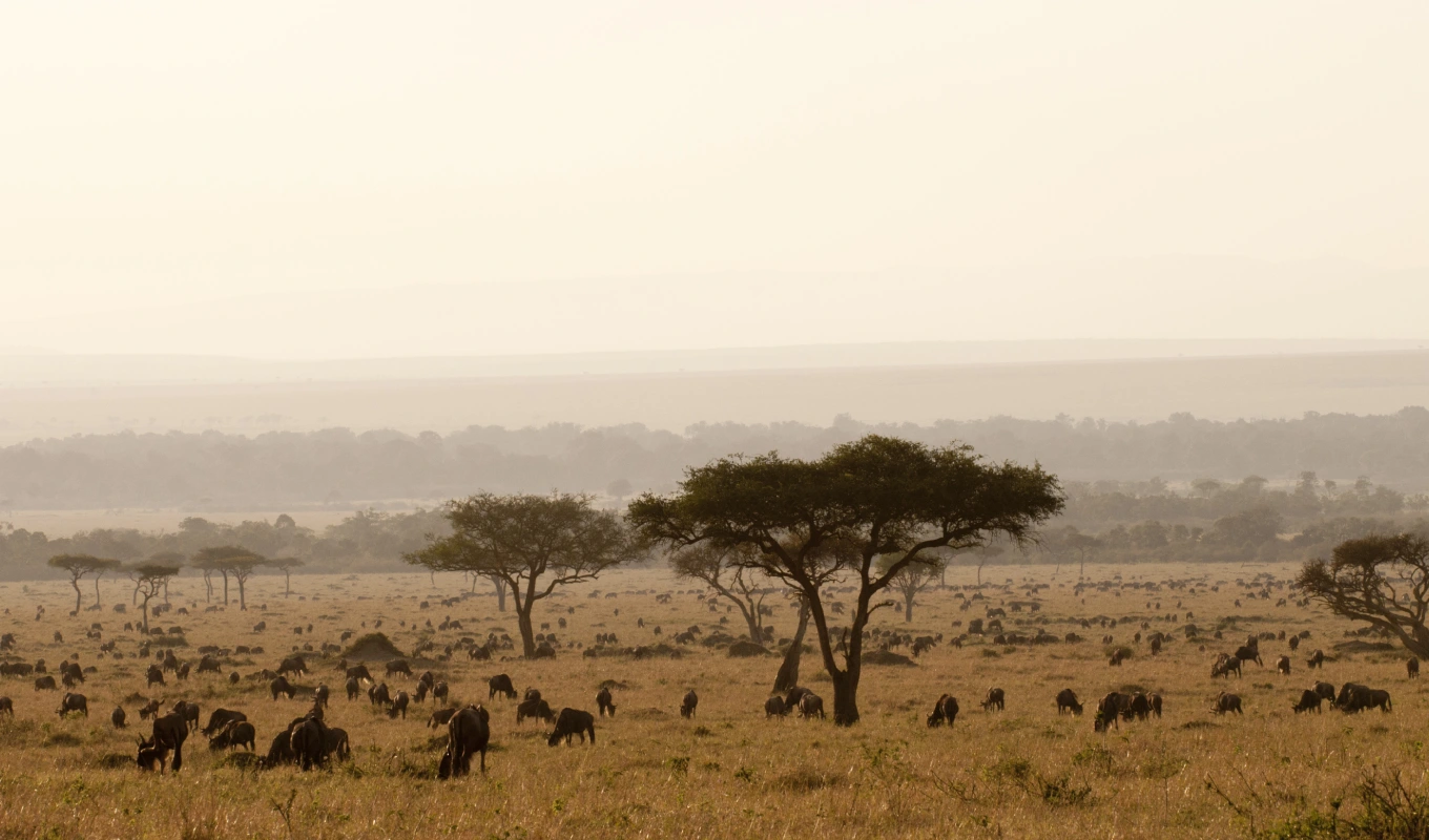 15 Days Grand East Africa Safari: Kenya & Tanzania’s Finest Parks