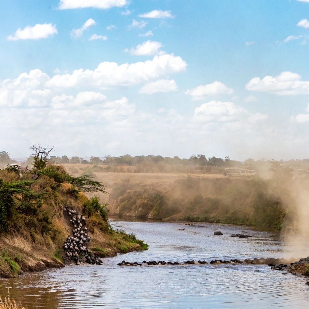 15 Days Grand East Africa Safari: Kenya & Tanzania’s Finest Parks Attractions