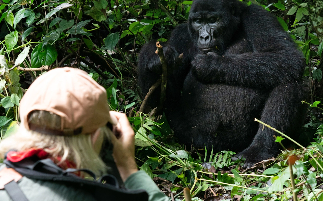 2 Days Rwanda Gorilla Experience Trekking