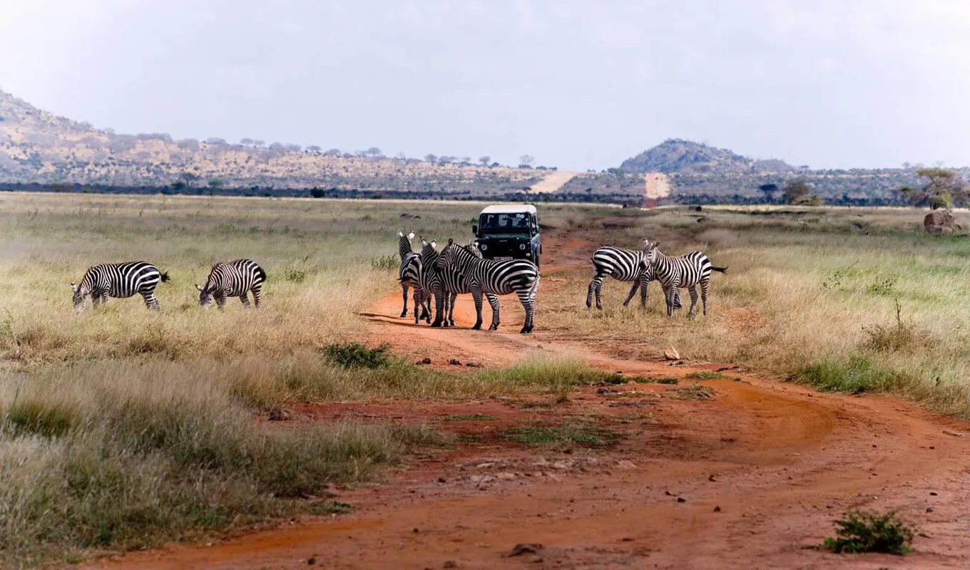 3 Days Tsavo East and West Safari Wildlife
