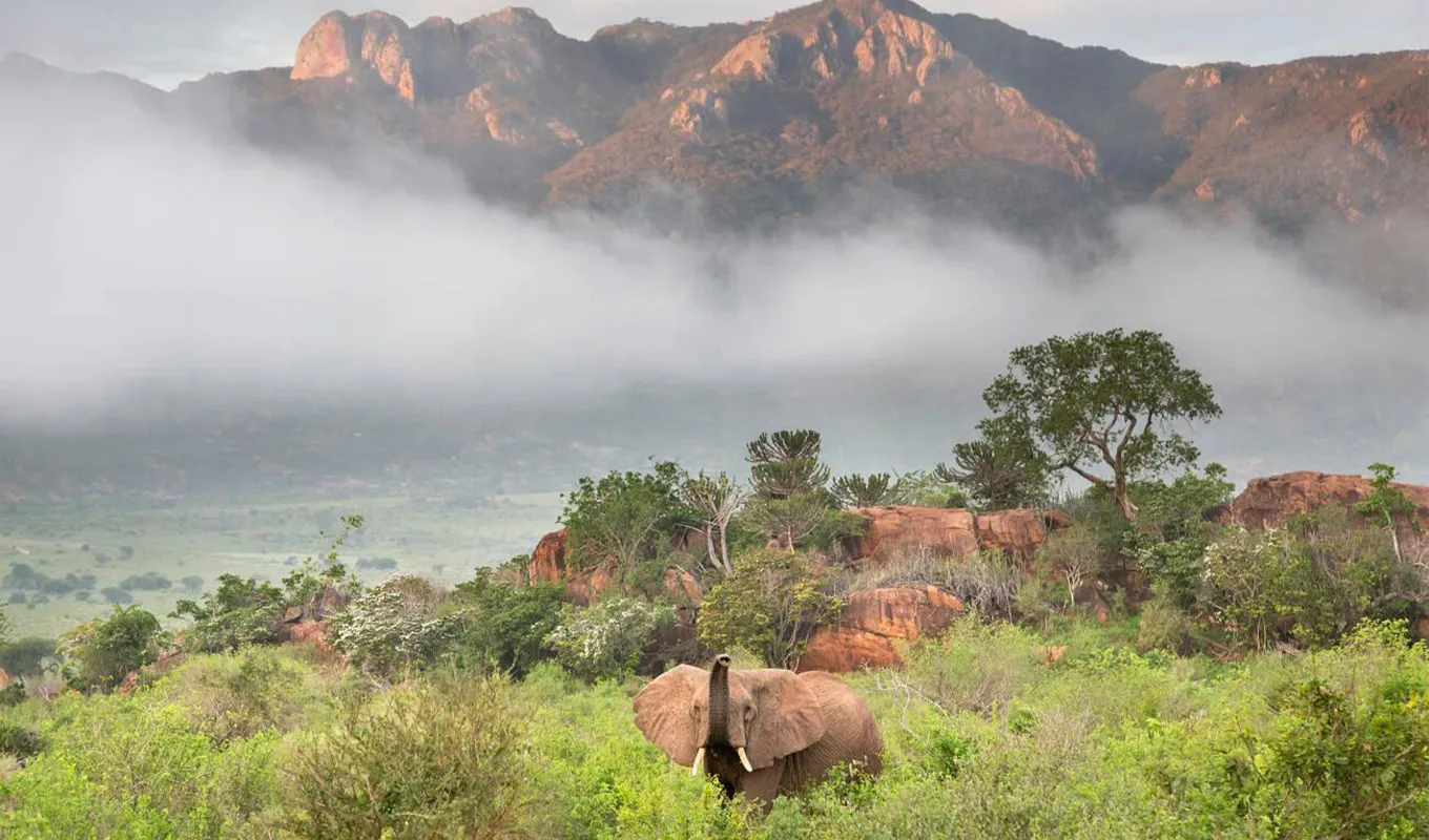 3 Days Tsavo East and West Safari Wildlife