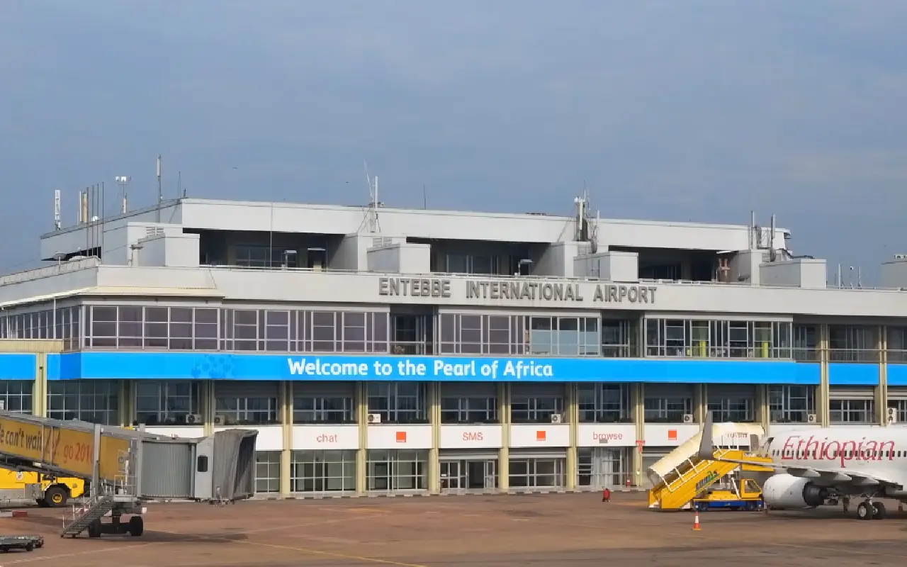 3 Days Gorilla Safari Flying Lodge