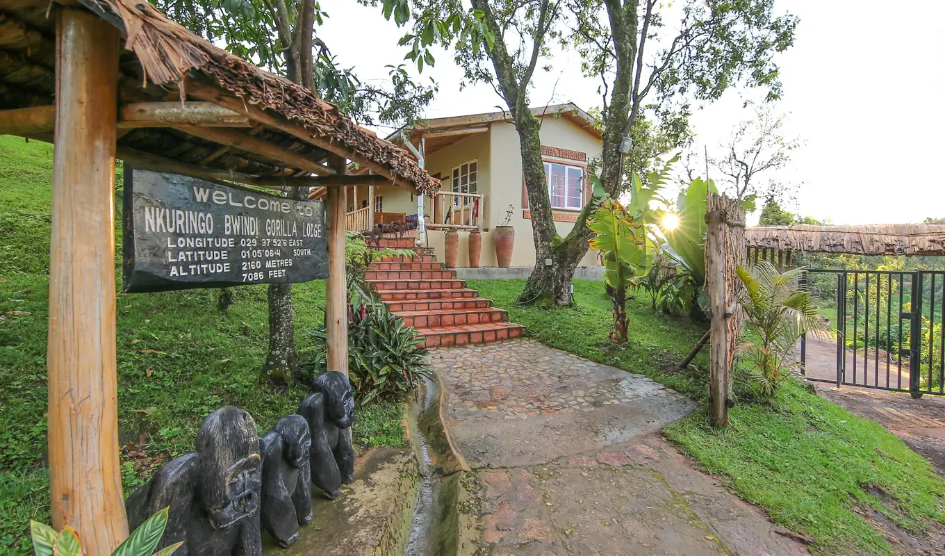 3 Days Gorilla Safari Road Lodge