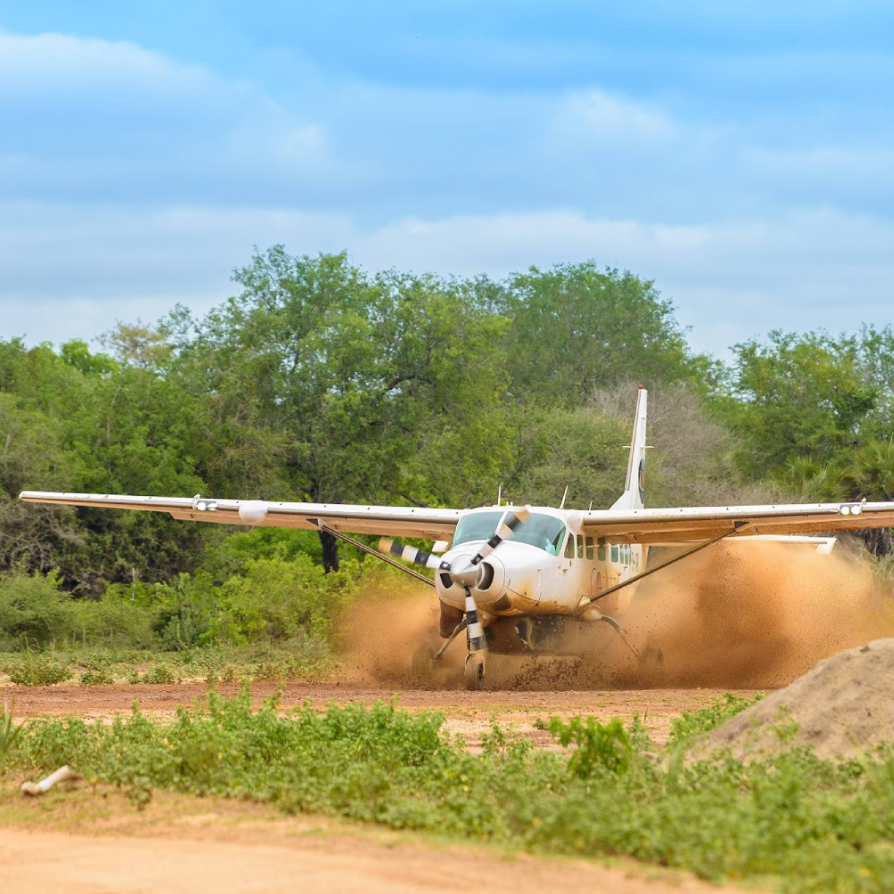 3 Days Mikumi National Park Fly-In Safari Attractions