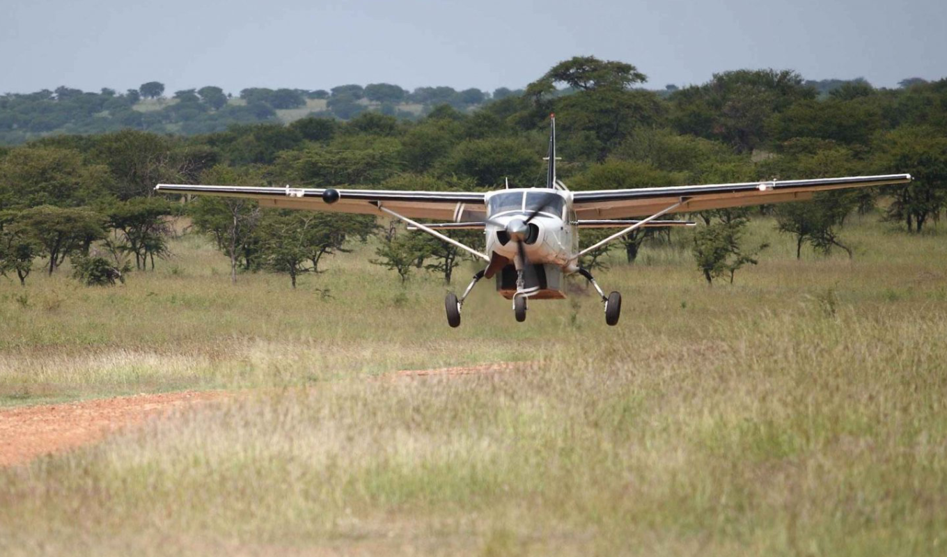 3 Days Mikumi National Park Fly-In Safari Fly in Safari