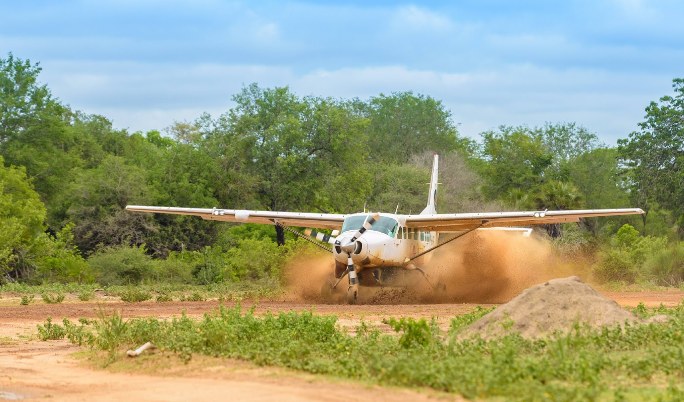3 Days Mikumi National Park Fly-In Safari Fly in Safari