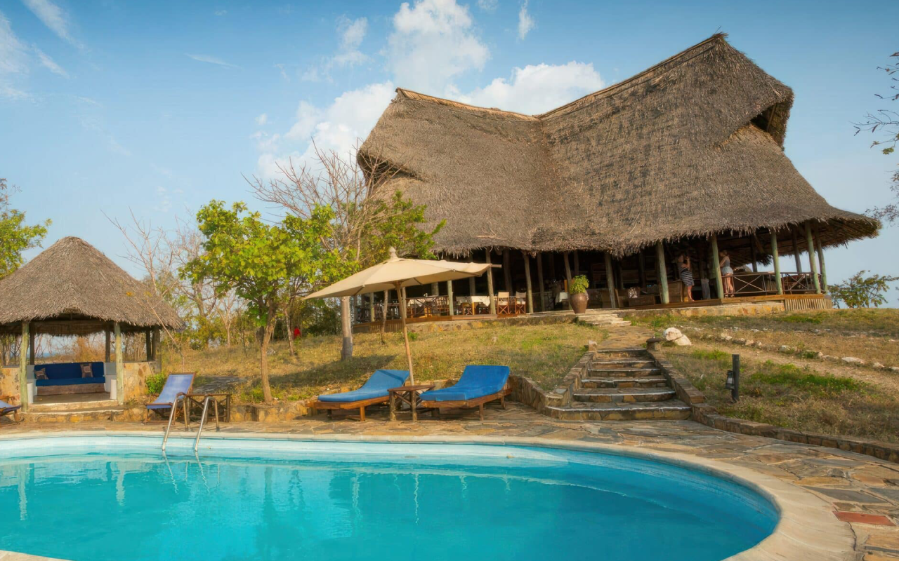 3 Days Mikumi National Park Fly-In Safari Fly in Safari Wildlife Accommodation