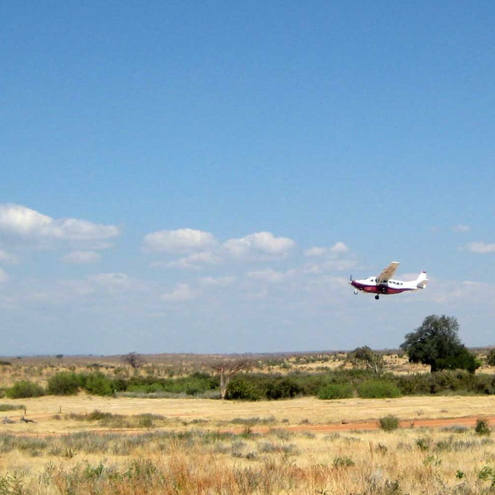 3 Days Ngorongoro Crater Fly-In Safari From Zanzibar