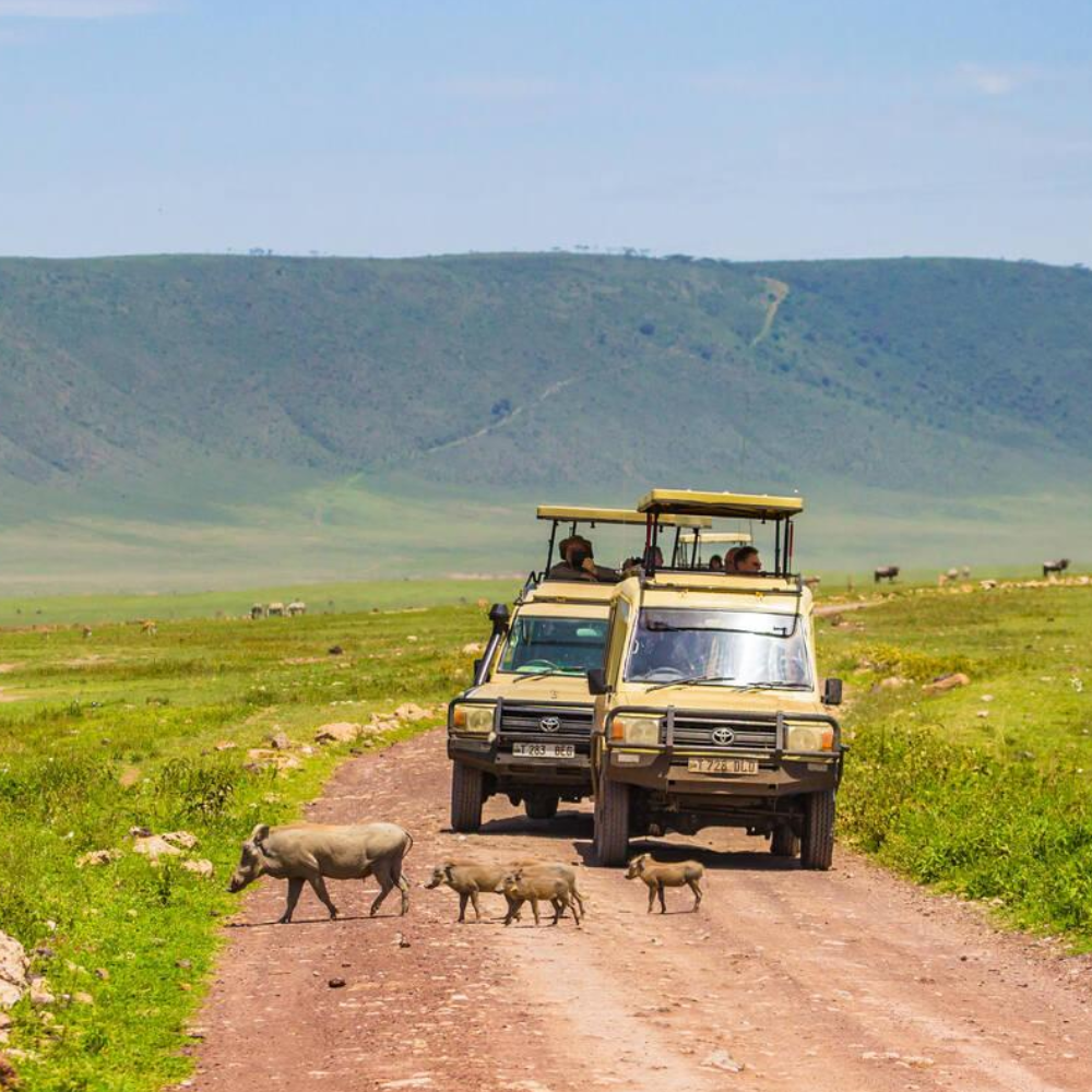 3 Days Ngorongoro Crater Fly-In Safari From Zanzibar Game Drives