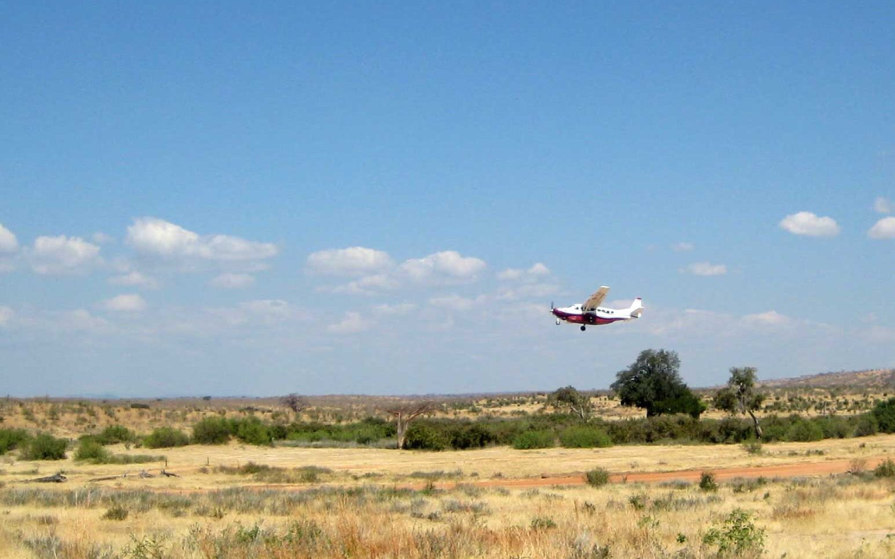 3 Days Ngorongoro Crater Fly-In Safari From Zanzibar