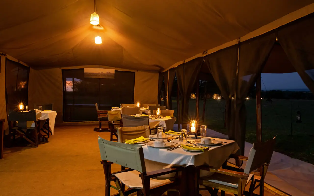 3 Days Northern Serengeti Flying Safari Game Drives
