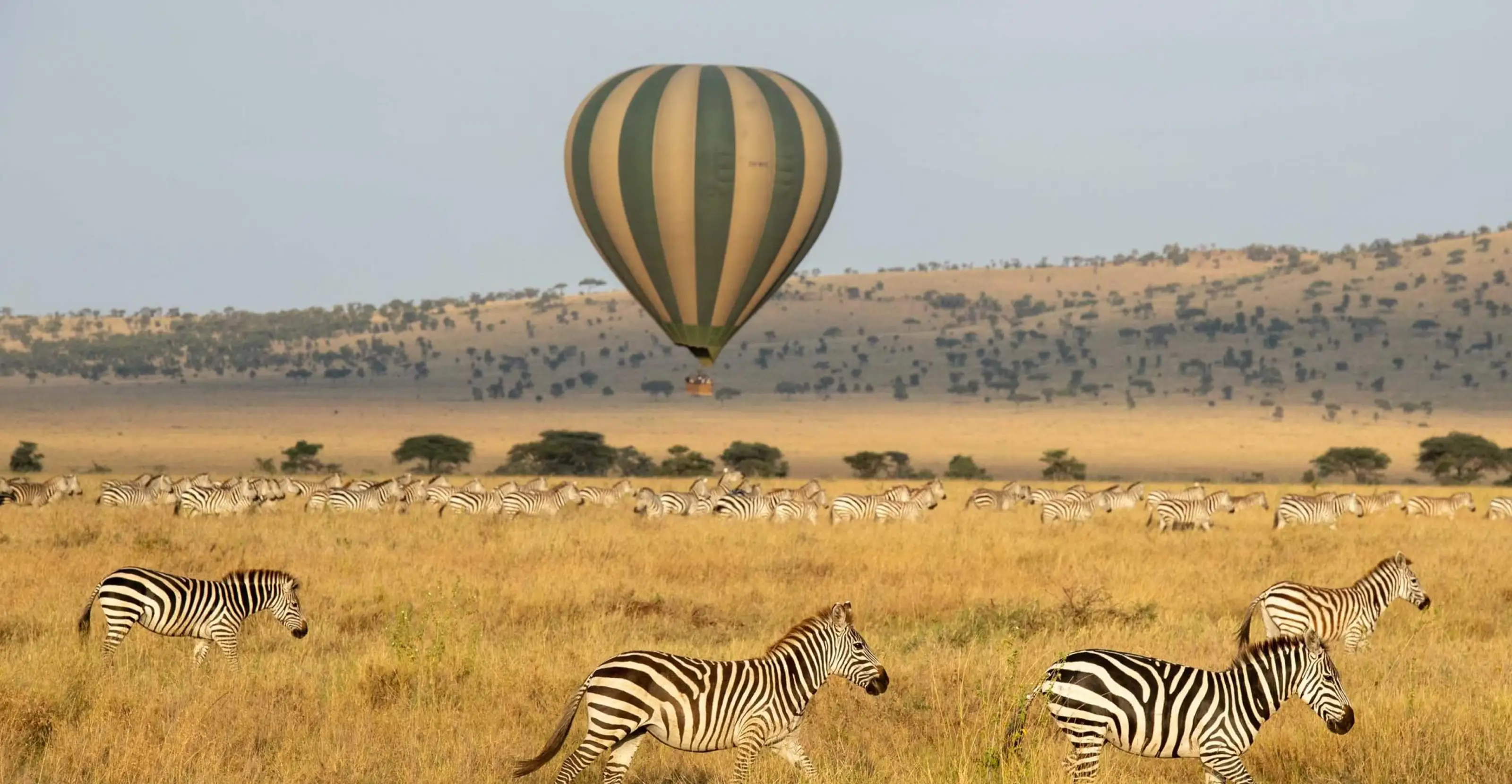 3 Days Northern Serengeti Flying Safari