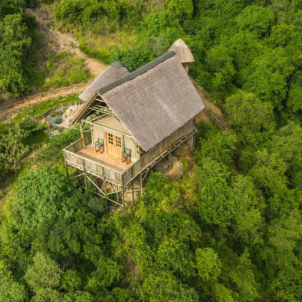 3 Days Queen Elizabeth National Park Safari Attraction