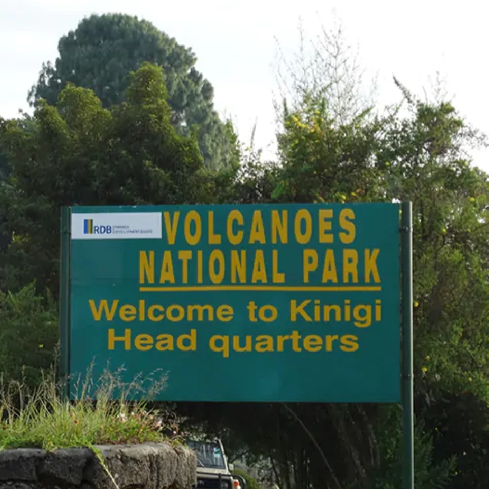 3 Days Rwanda Gorilla & Golden Monkey Safari  Attractions