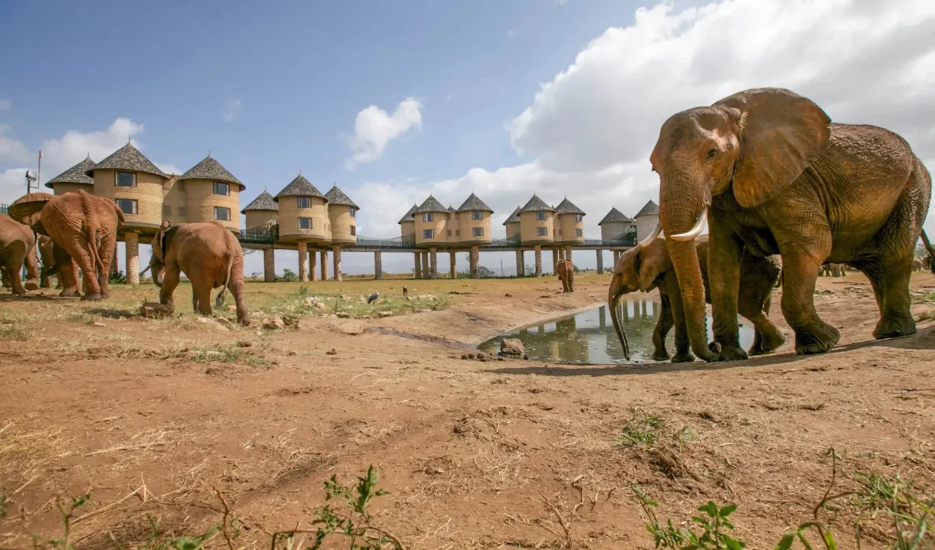 3 Days Safari at Lumo Conservancy Wildlife