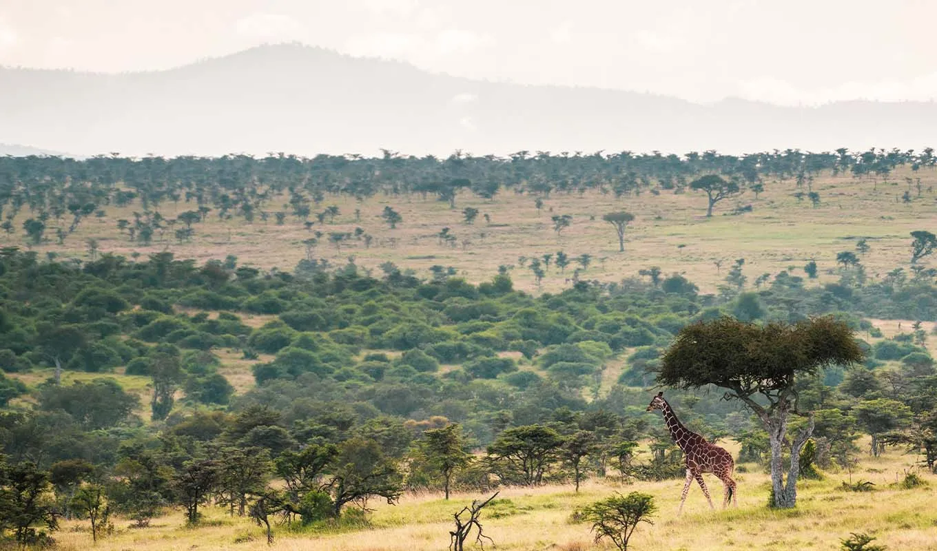3 Days Safari at Lumo Conservancy Wildlife