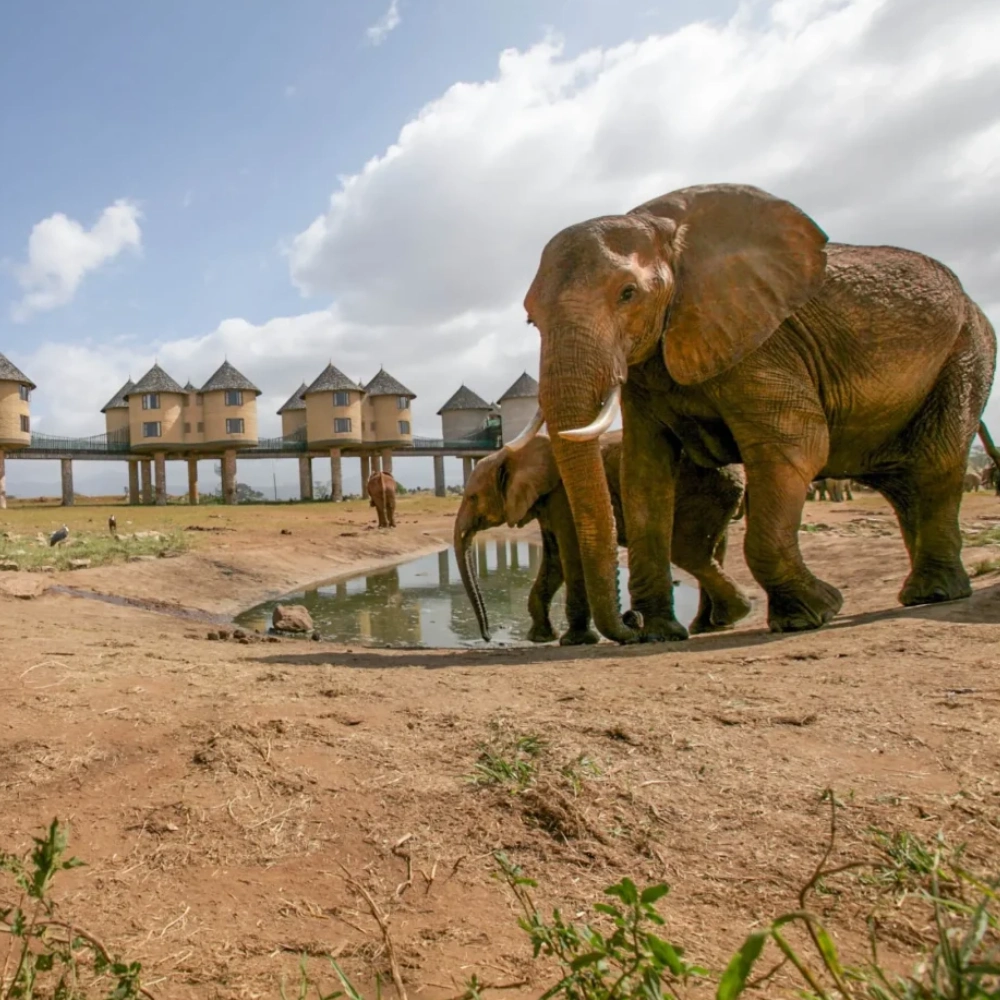3 Days Safari at Lumo Conservancy Attractions