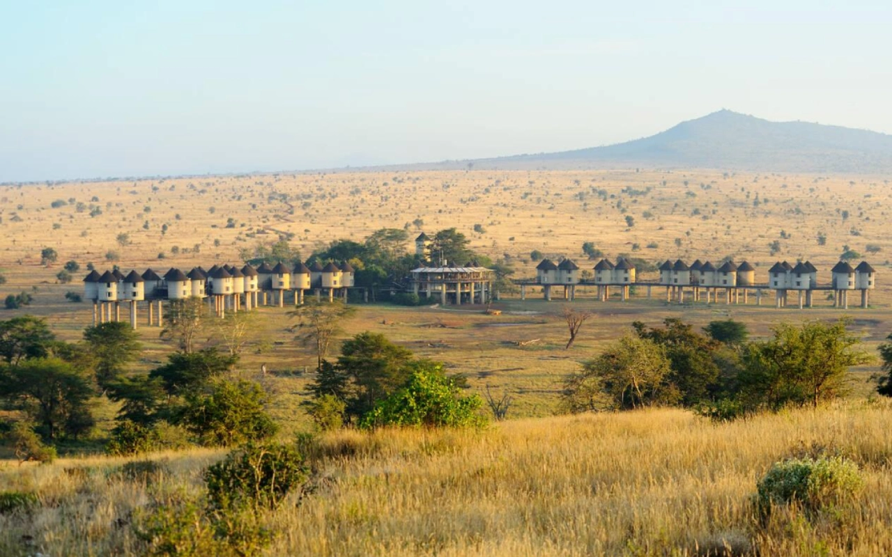 3 Days Safari to Taita Hills or Taita Salt Lick Lodge via SGR Plain
