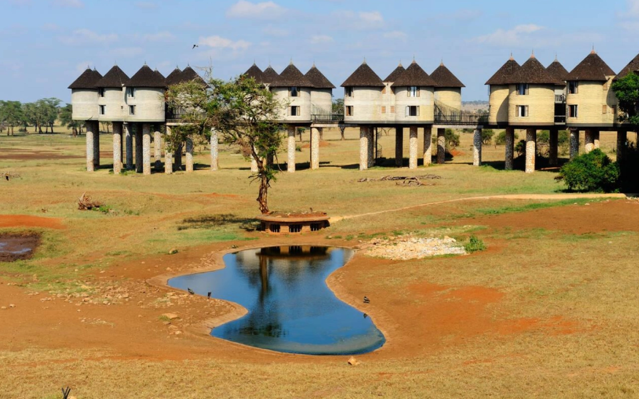 3 Days Safari to Taita Hills or Taita Salt Lick Lodge via SGR Plain