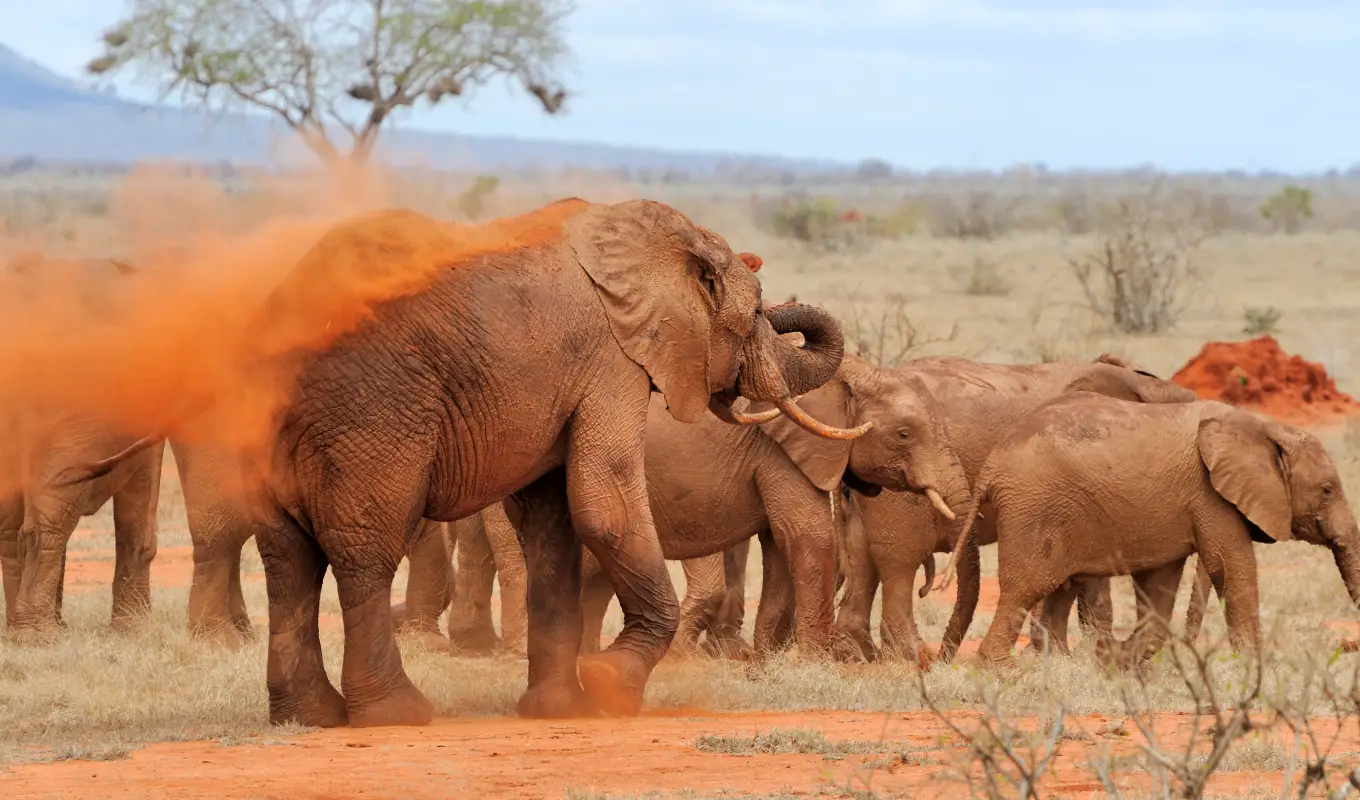 3 Days Samburu Lodge Safari 