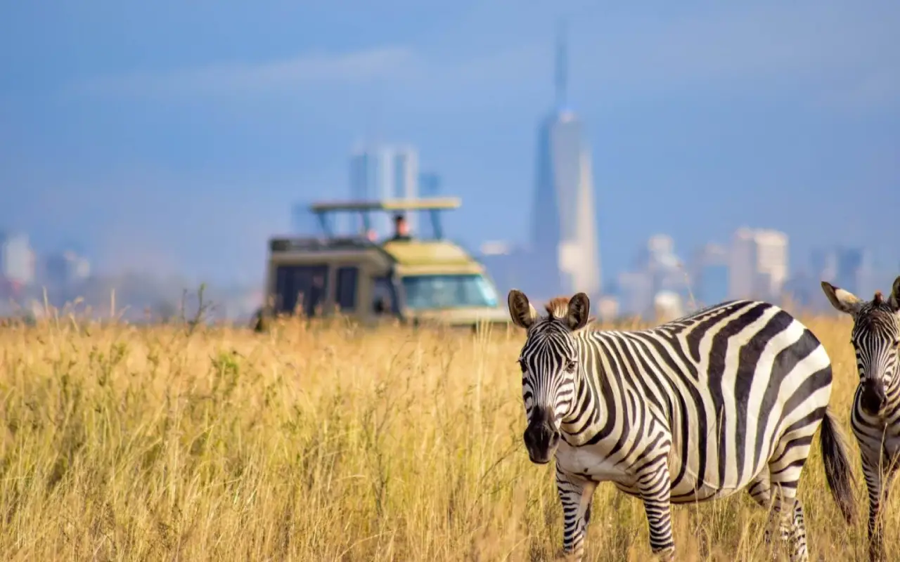 3 Days Samburu Lodge Safari  