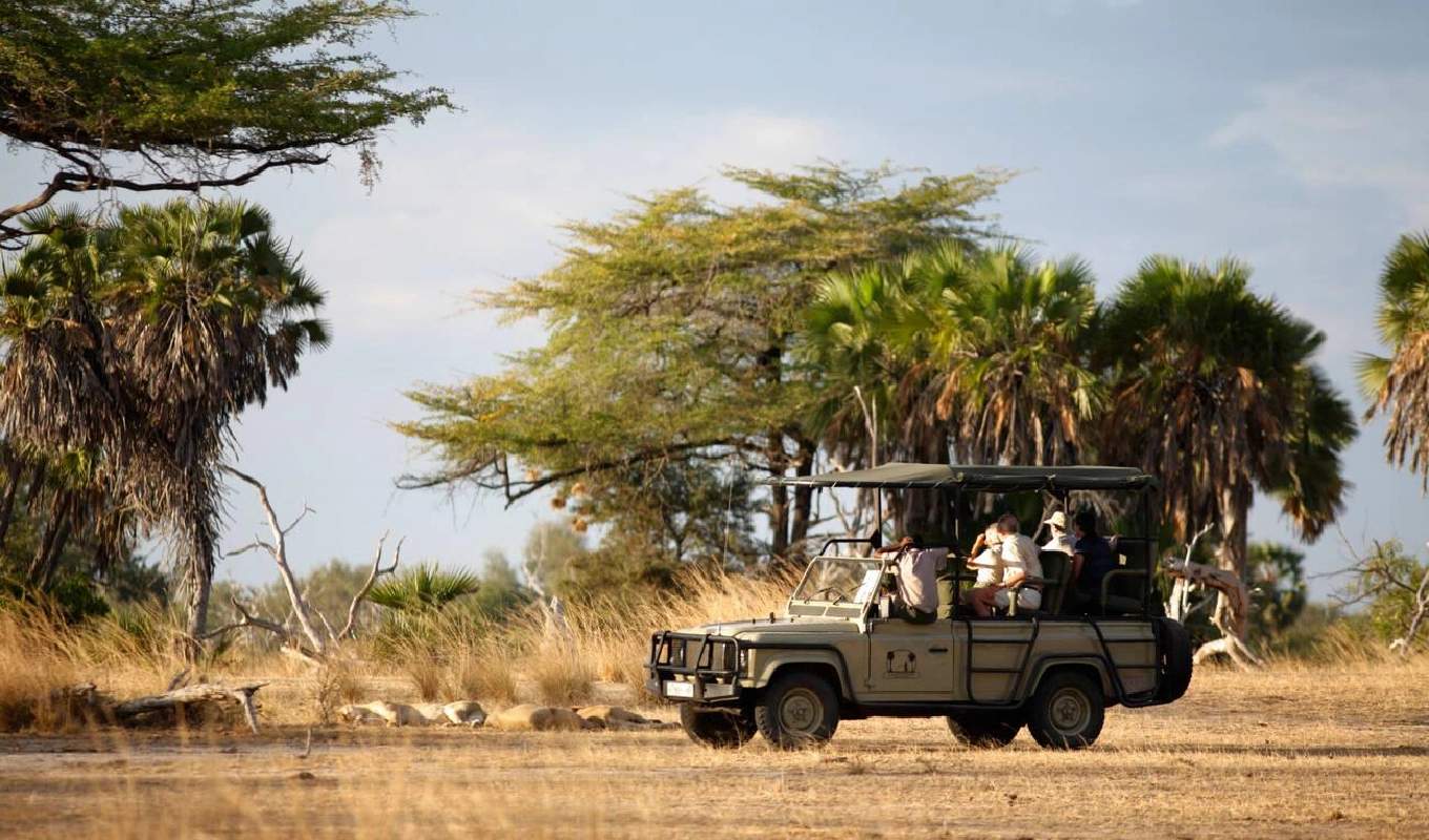 3 Days Selous Game Reserve Flying Safari From Zanzibar GameDrive