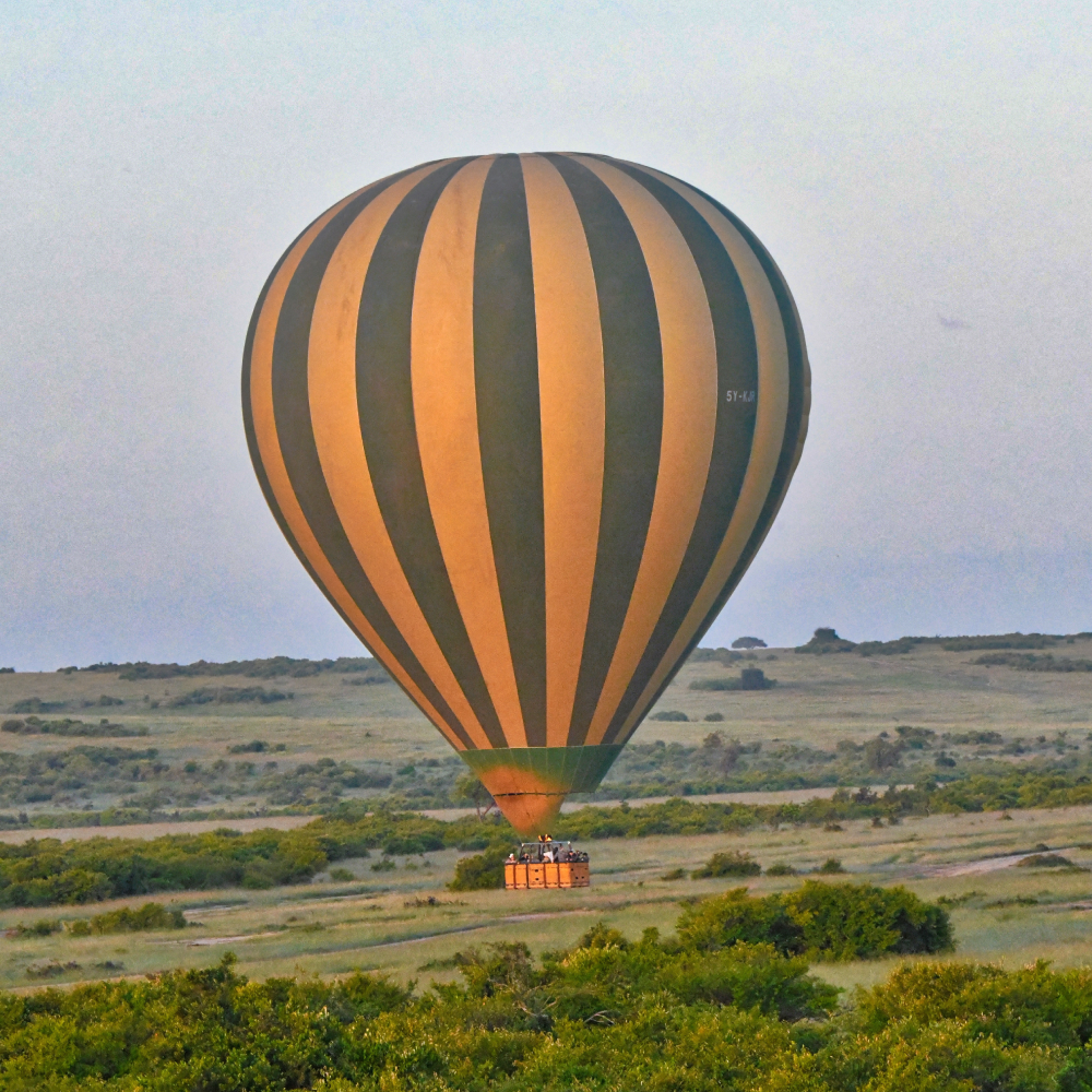 3 Days Serengeti Flying Safari Attractions