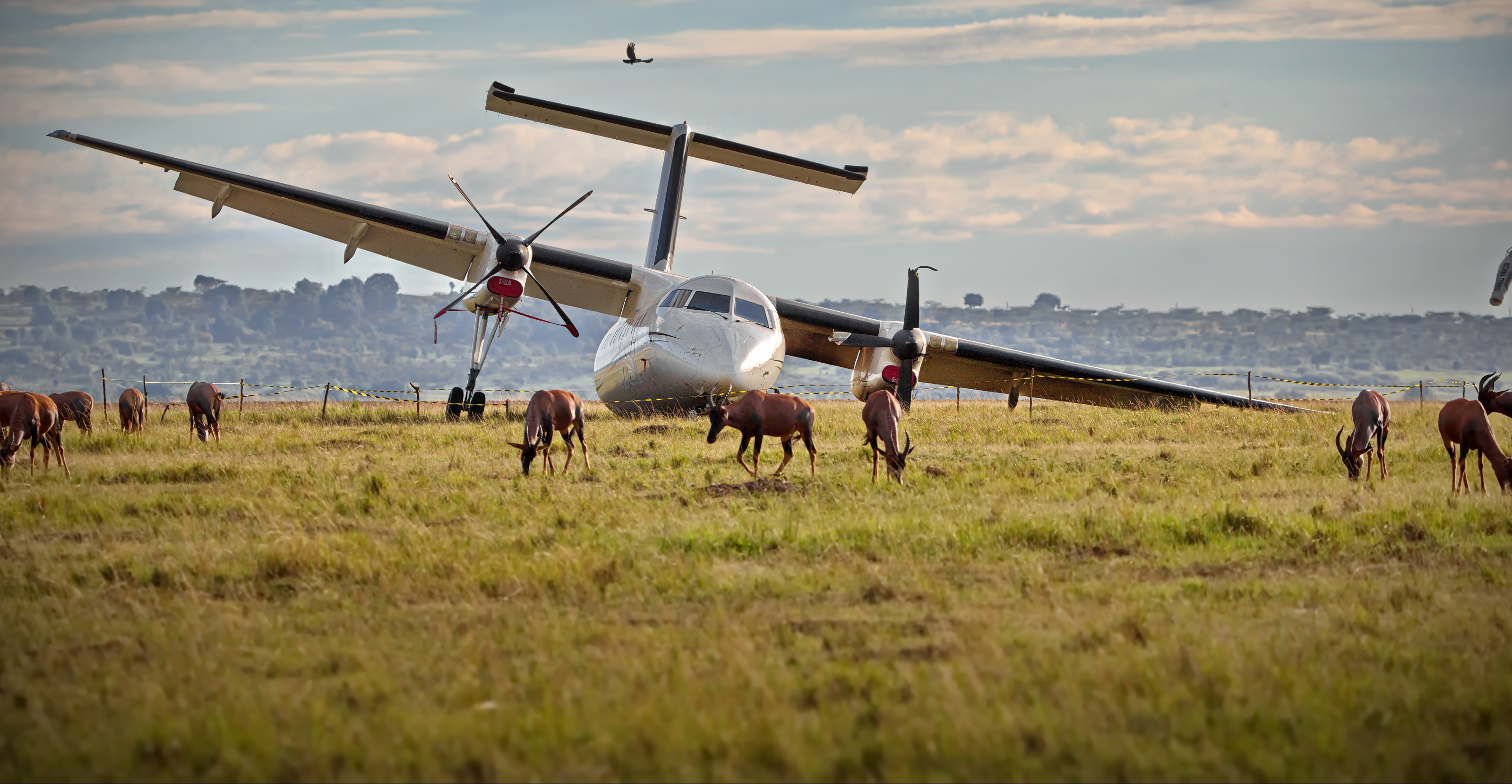 3 Days Serengeti Flying Safari