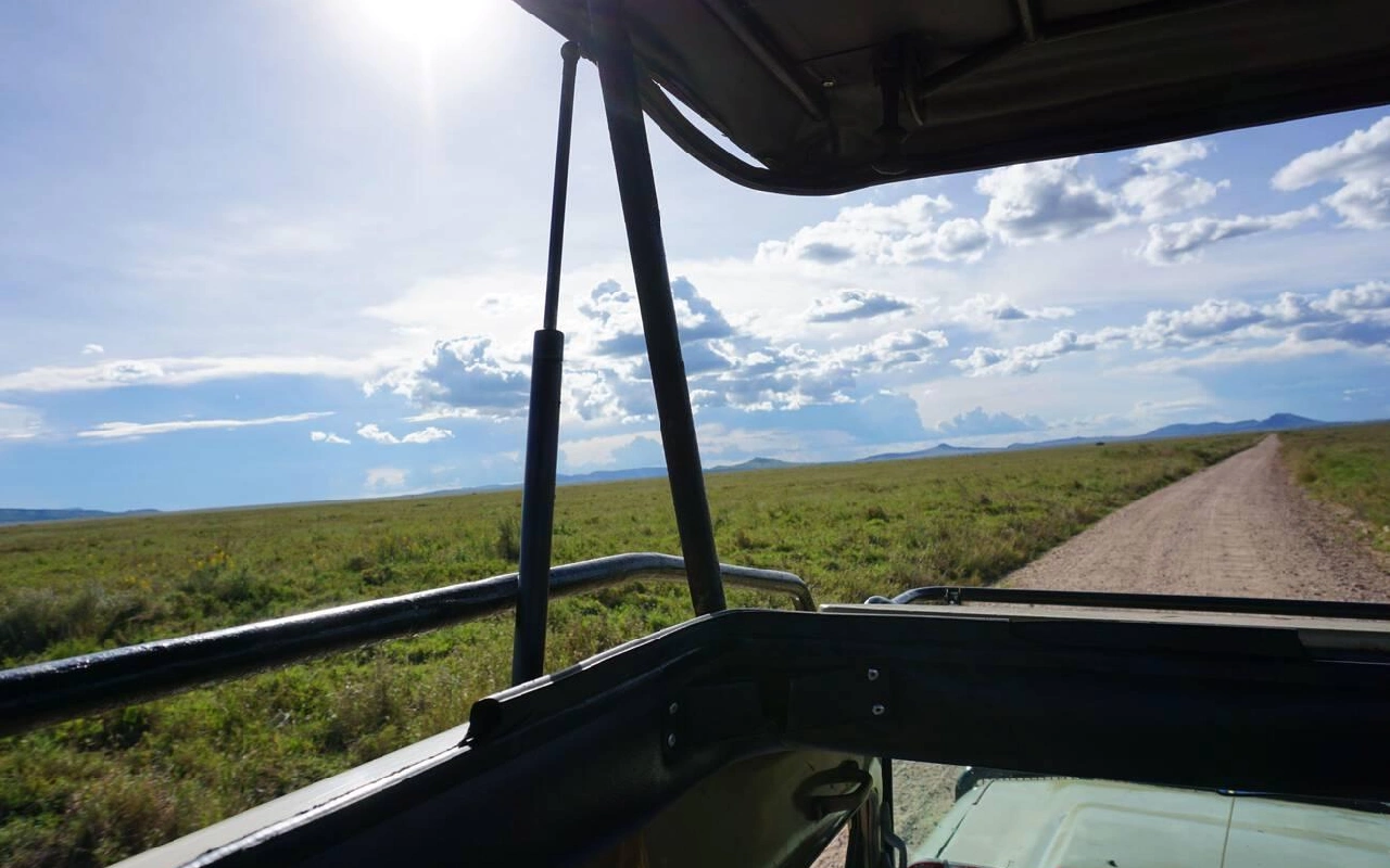 3 Days Serengeti National Park Fly-In Safari From Zanzibar GameDrive