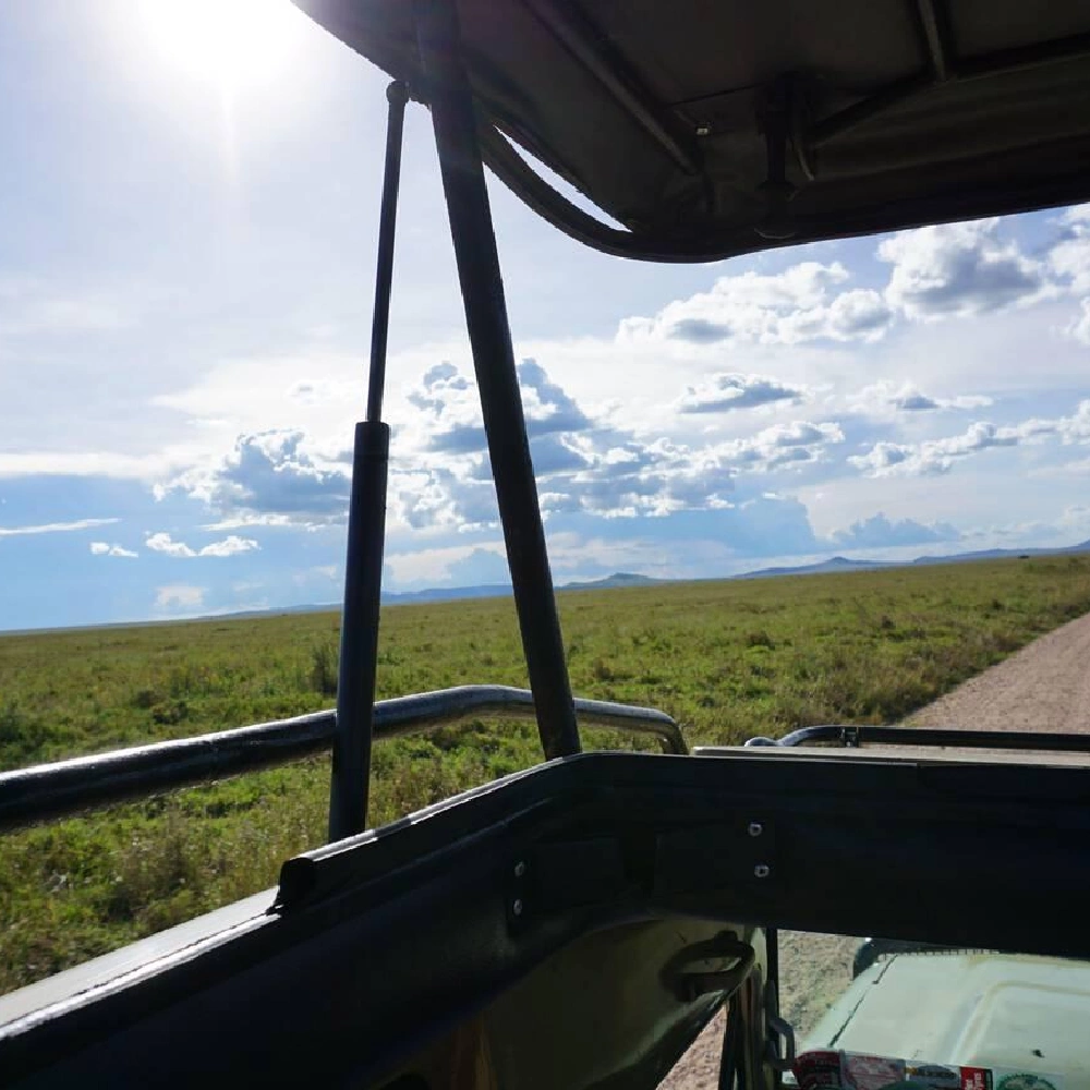 3 Days Serengeti National Park Fly-In Safari From Zanzibar Attractions